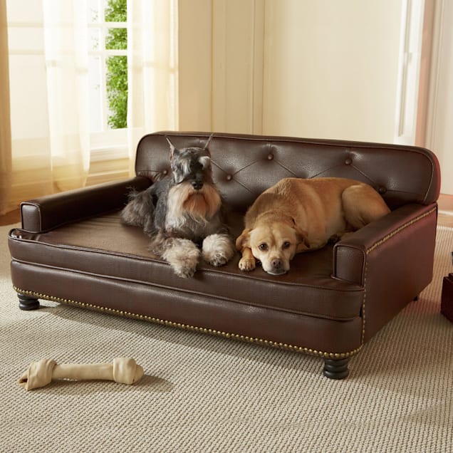 Enchanted Home Pet Library Sofa Bed in Brown, 40" L x 29.5" W | Petco