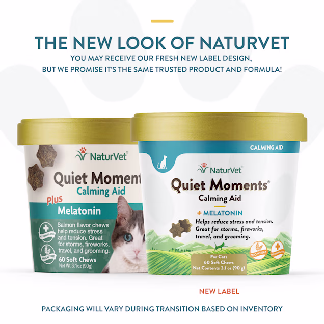 Melatonin for cats cheap