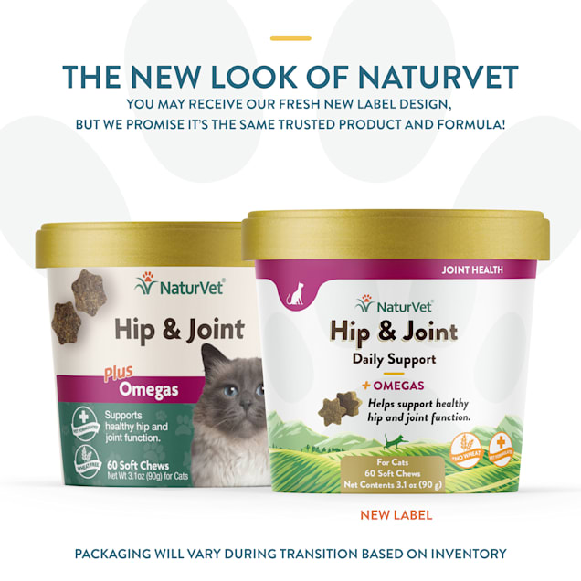 Cat supplement hot sale