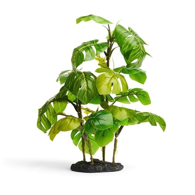 Imagitarium Stand Araceae Plant Terrarium Decor, Large - Carousel image #1