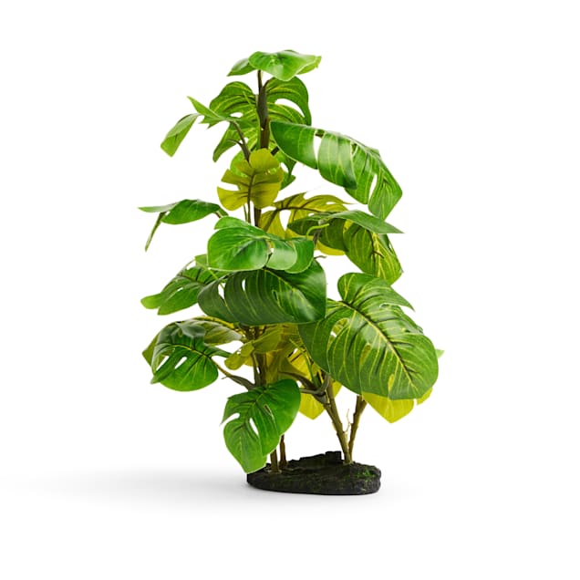 Artificial plants shop for terrariums