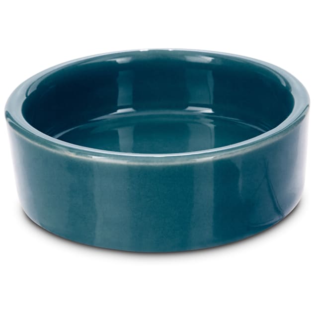 Imagitarium Ceramic Terrarium Dish for Reptiles Petco