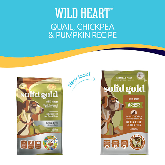 Gluten free dog best sale food heart disease