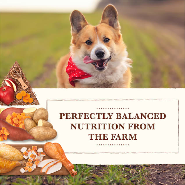 Whole Earth Farms Grain Free Small Breed Chicken and Turkey Recipe