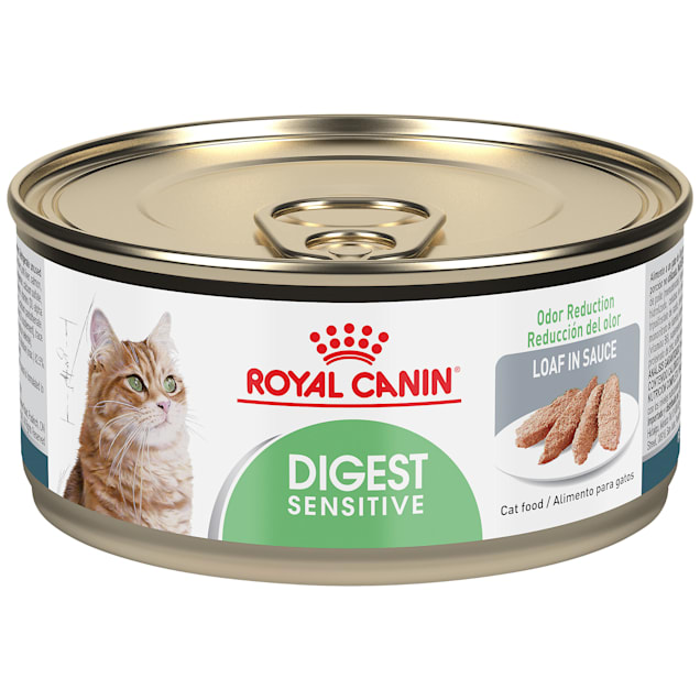 Royal Canin Digest Sensitive Loaf In Sauce Wet Cat Food 5 8 Oz Case Of 24 Petco