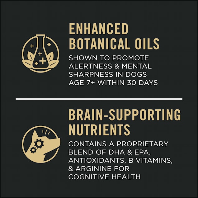 Purina bright mind turkey and rice shop
