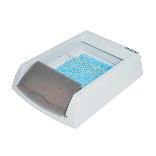 Petsafe self cleaning deals litter box