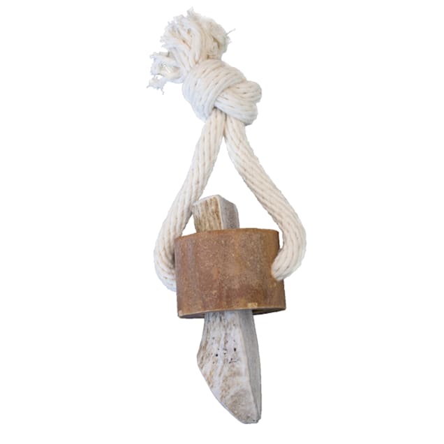KONG Wild Antler Chew Treat Dog Toy Medium Petco