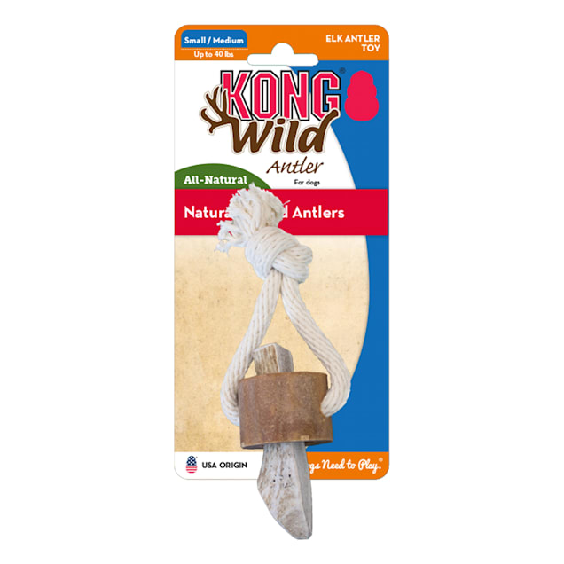 Kong antler 2025