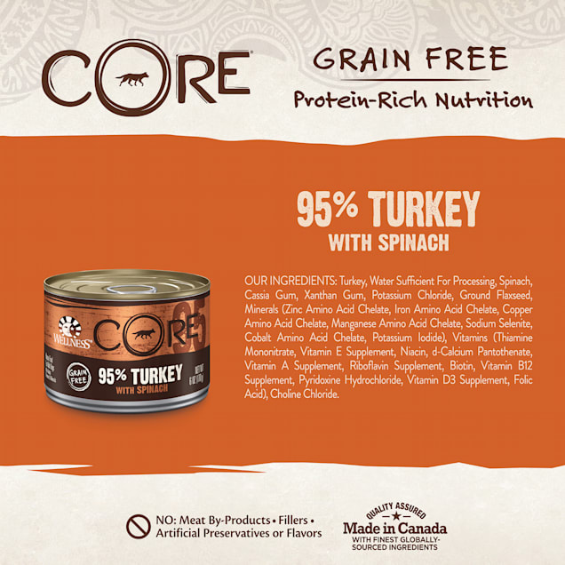 Wellness core natural grain free wet canned dog food clearance