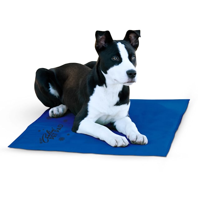 K&H Cooling Pad for Dogs, 20"L X 36"W Petco