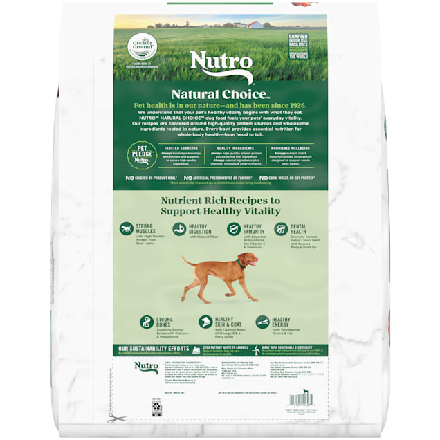 Nutro lamb and rice canned dog food sales