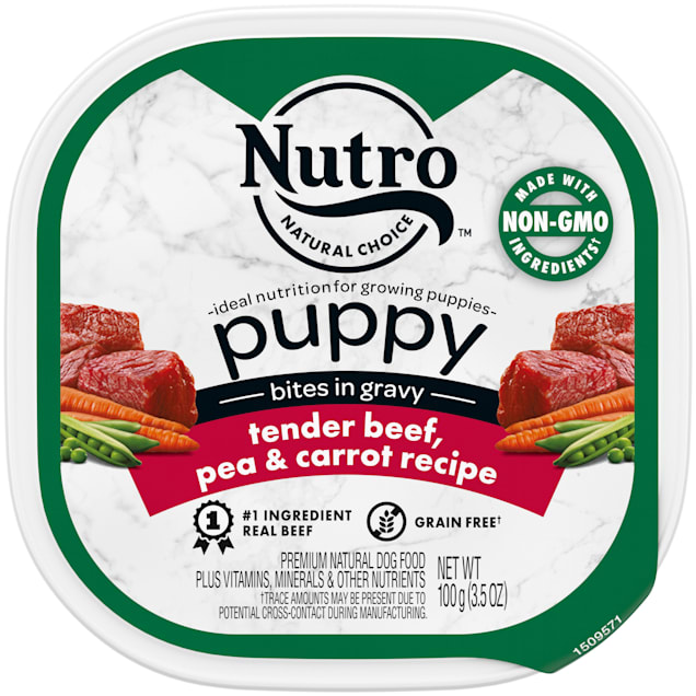 Nutro puppy sales chow