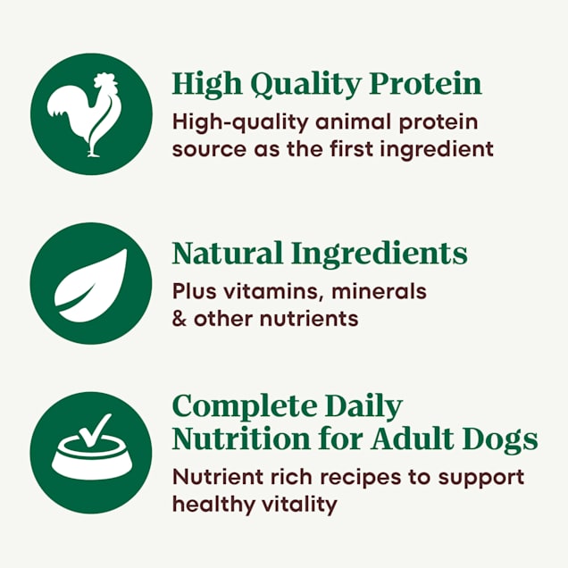Nutro lamb and rice canned dog food sales