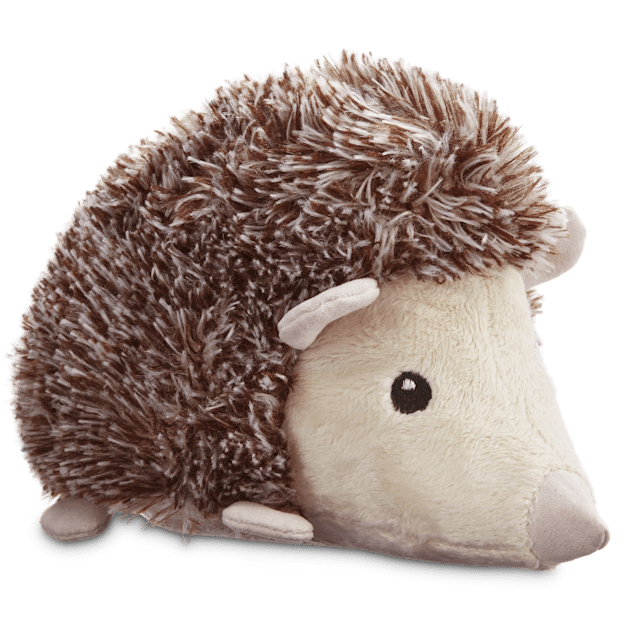 Hedgehog petco sales