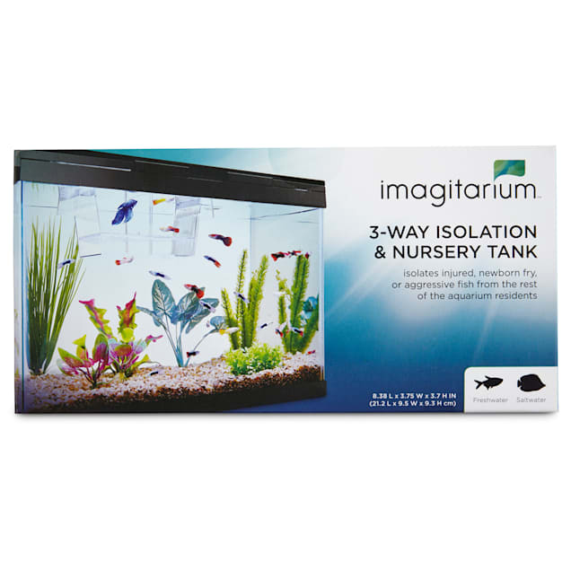 Imagitarium Isolation Breeder Fish Tank 8 4 L X 3 7 H X 3 7 Diameter Petco