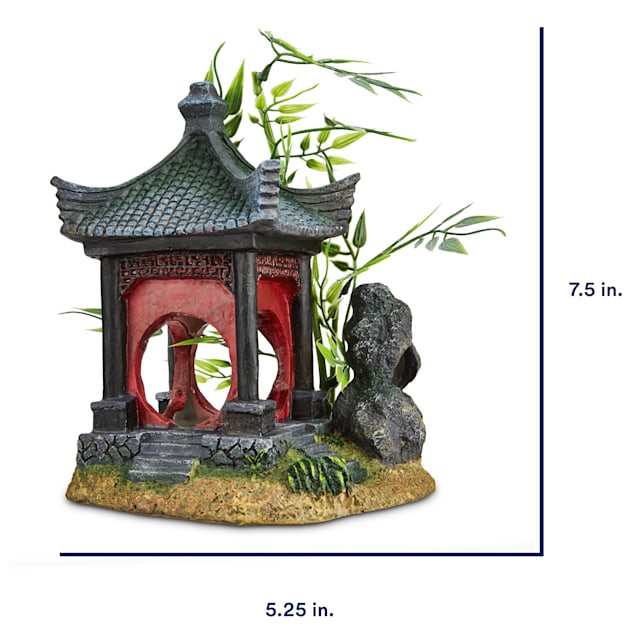 Petco chinese water dragon cheap