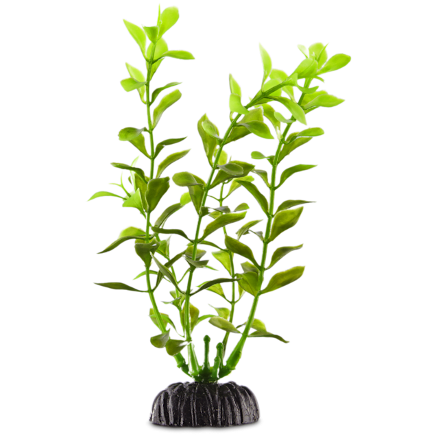 Imagitarium Green Plastic Aquarium Plant, Small Petco