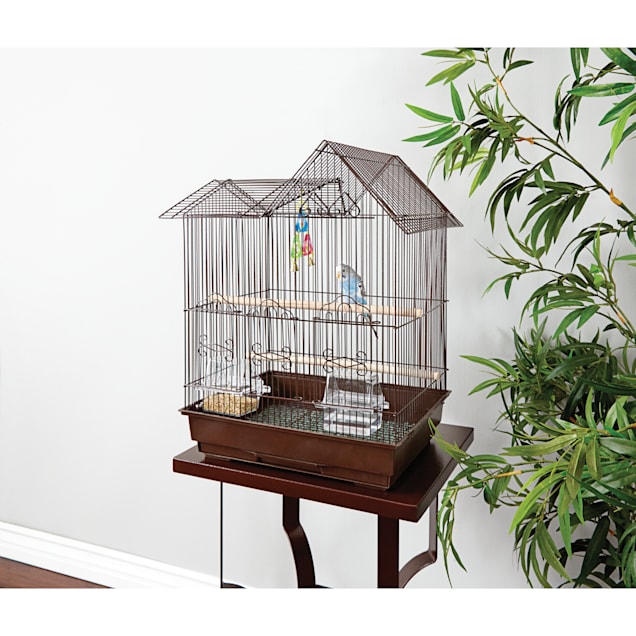 Parakeet cage petco store