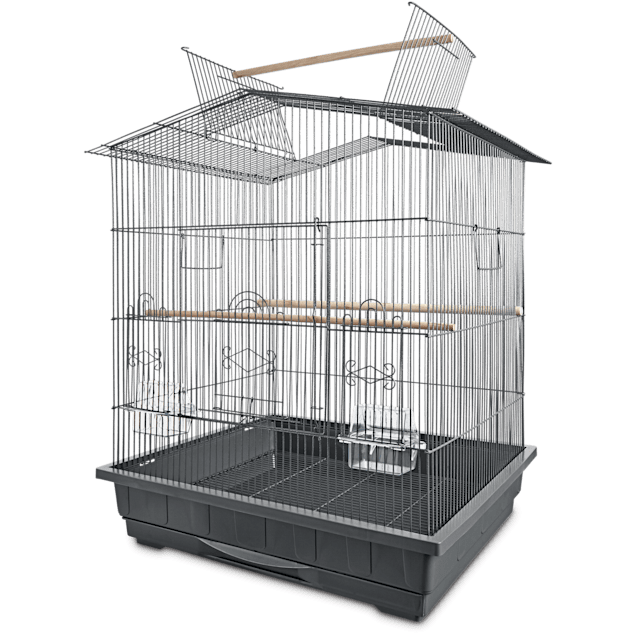 Petco conure cage outlet