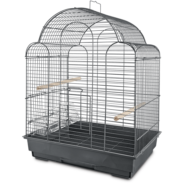 Bird travel cage hotsell petco