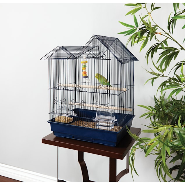 Petco you and me top
