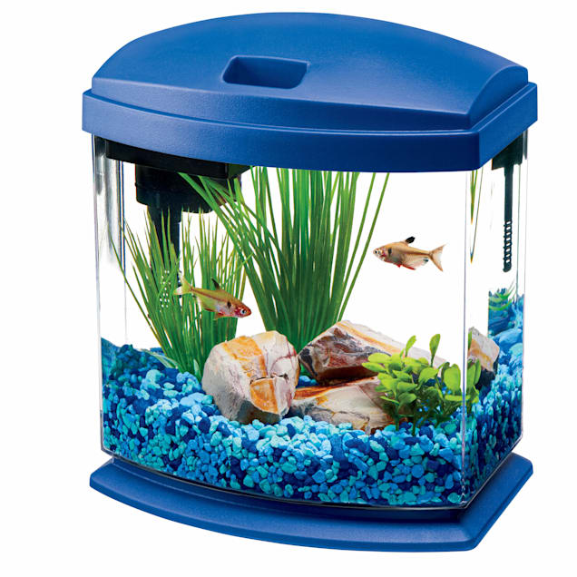 aqueon 1 gallon minibow led desktop fish aquarium kit blue