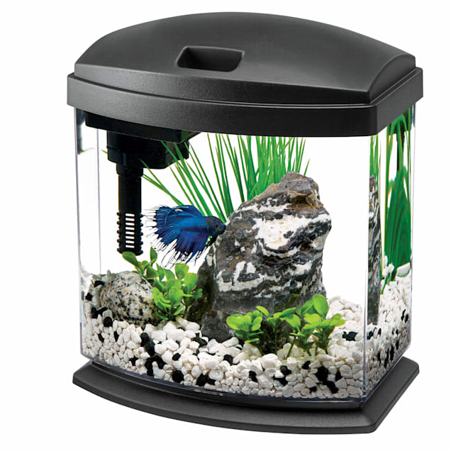 7.8"L x 6"W x 7"H Aqueon LED MiniBow Desktop Aquarium Kit Black 1 Gallon 