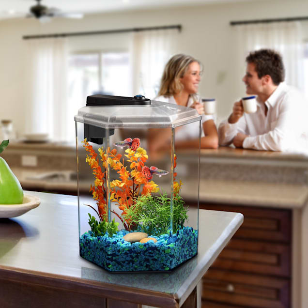 Imagitarium freshwater aquarium 1.7 best sale