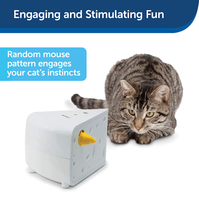 Petsafe cat cheap toys