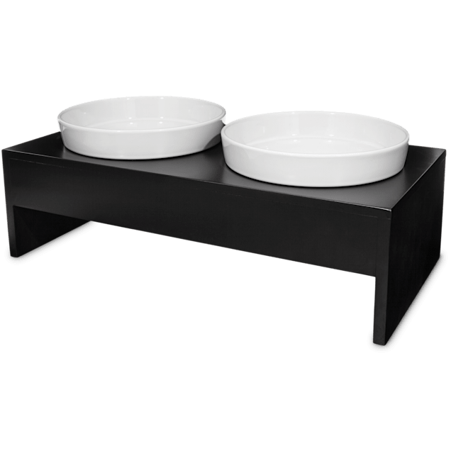 Harmony elevated dog bowl shop double diner