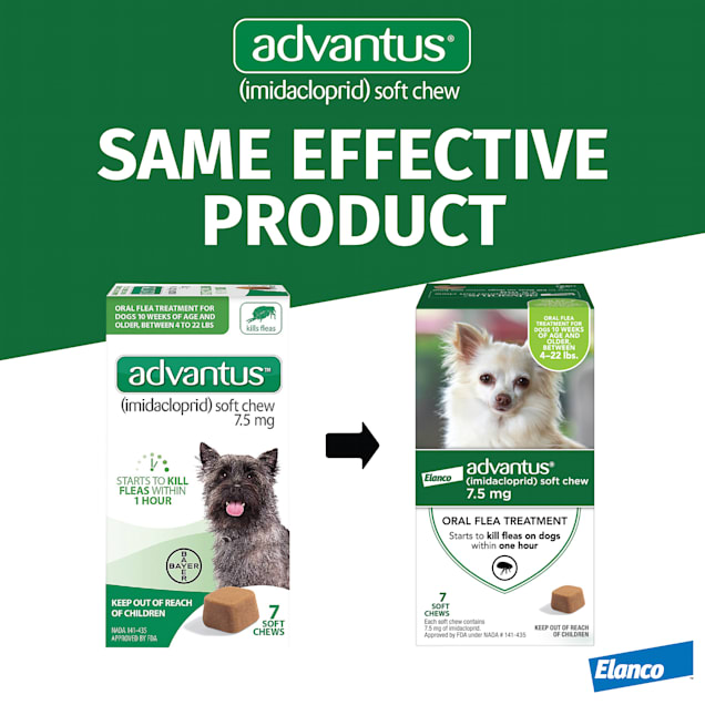 Advantus discount small dog