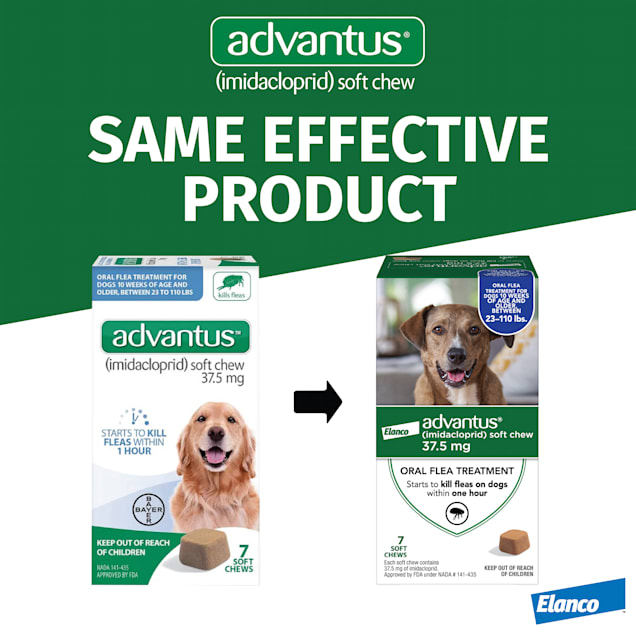Advantus Elanco Flea Soft Chews for Large Dogs 23 110 lbs. Count