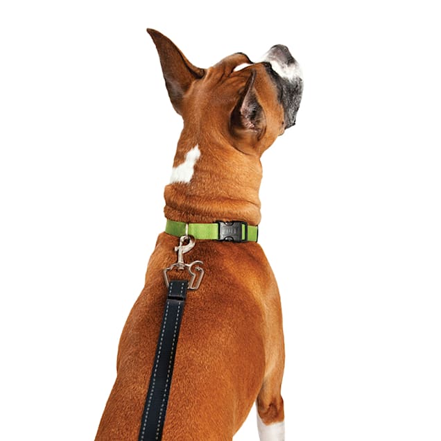 Thunderleash retractable clearance