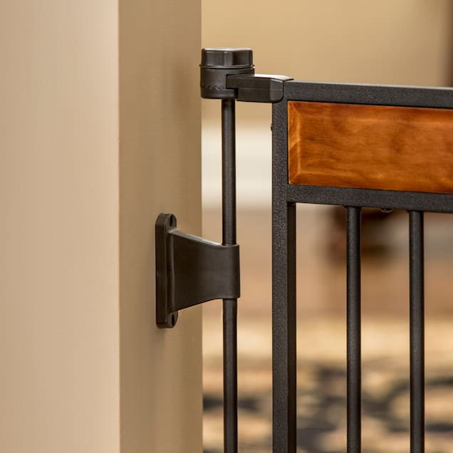 Carlson Design Paw Arched Flexi Pet Gate Petco