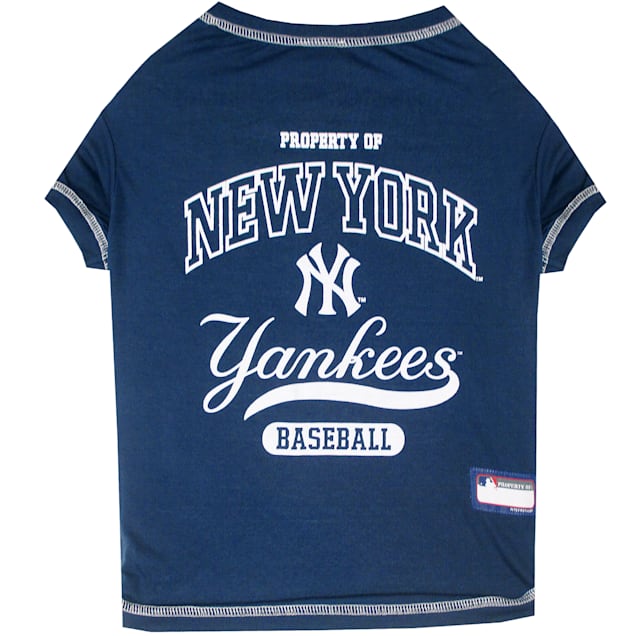 yankees dog clothes