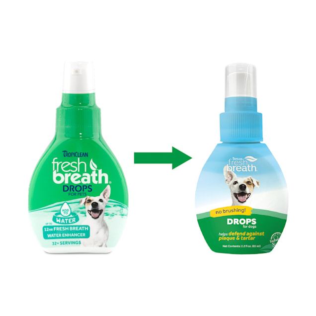 Fresh breath dogs deals