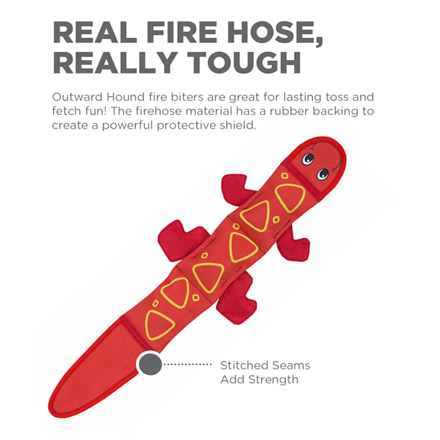 Outward hound firehose fetch best sale
