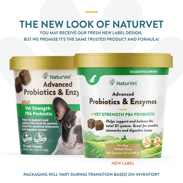 NaturVet Advanced Probiotics Enzymes Plus Vet Strength PB6