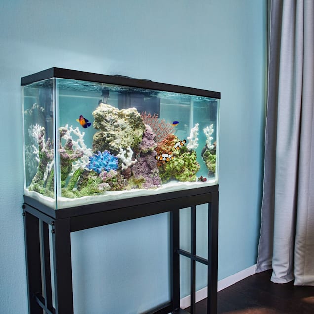 Aqueon 29 gallon best sale