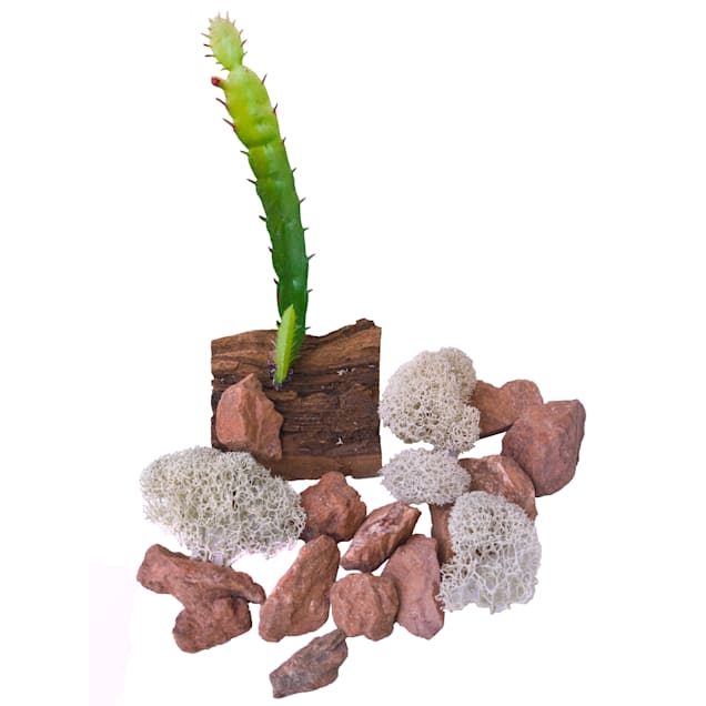 T-Rex Terra Accents Desert Decor Pack | Petco