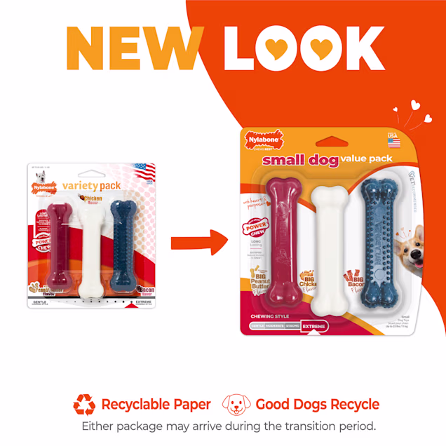 Dr. Dental Wan×２本 & Nylabone セット Jinguang Dental Technician Workbench Double or Single Dental Lab