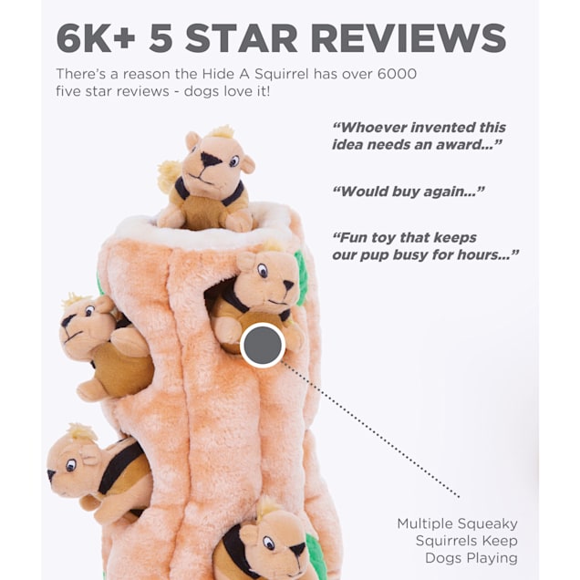 hide and seek squirrel dog toy