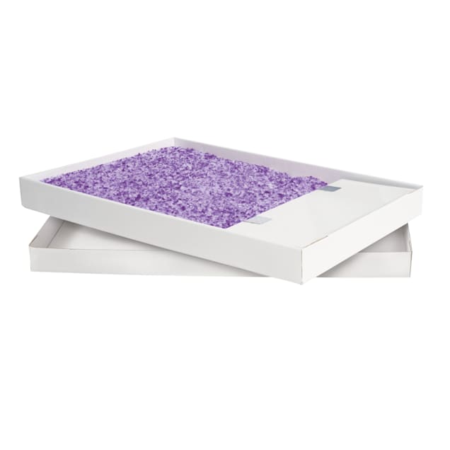 ScoopFree by PetSafe Disposable Crystal Lavender Litter Tray for Cats, 1.6  fl. oz., Pack of 1