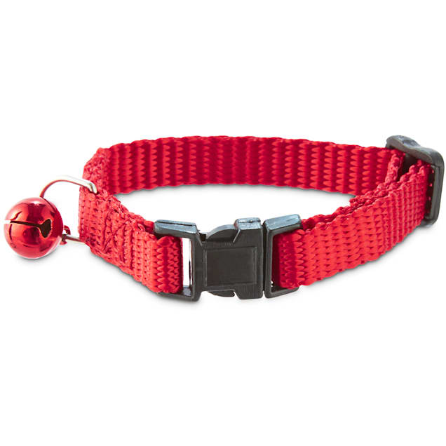 Adjustable 4.5-6 for A Small Female Or Young Ferret Blaze Orange Ferret Collar with Bell Sandia Pet Products 3/8 Petite 