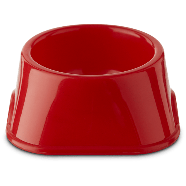 EveryYay Dining in Small Animal Assorted Feeding Dish
