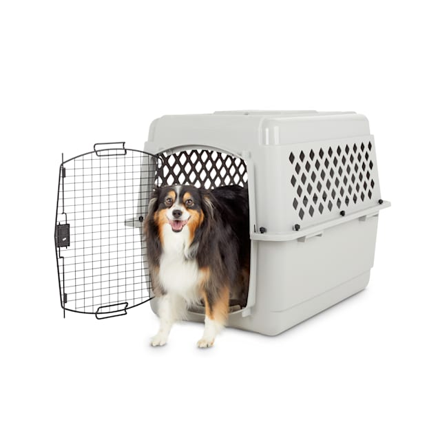 EveryYay Going Places To Go Black Pet Carrier, Small