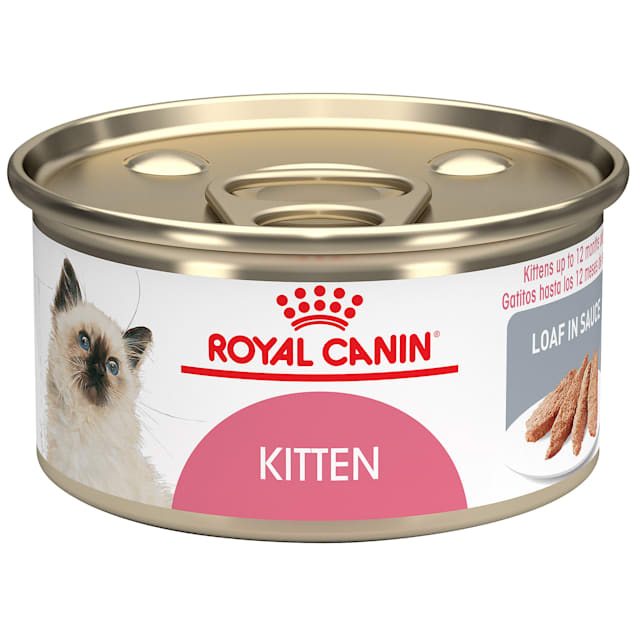 licht Uitschakelen Onophoudelijk Royal Canin Feline Health Nutrition Kitten Loaf in Sauce Canned Cat Food, 3  oz., Case of 24 | Petco