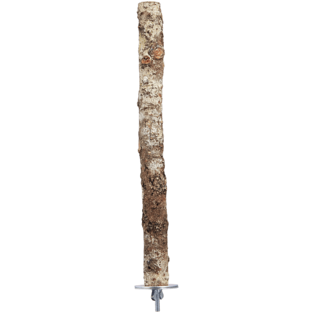 You & Me 3/4-inch Natural Fir Wood Bird Perch, Medium - Carousel image #1