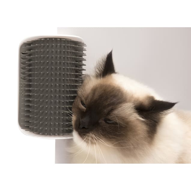 Petco cat haircut store